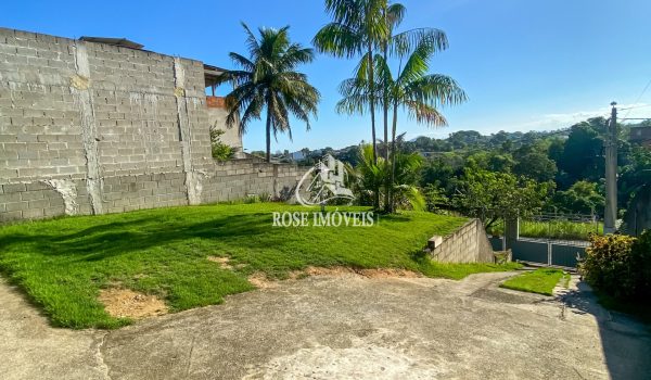 IMG_3113 - Copia